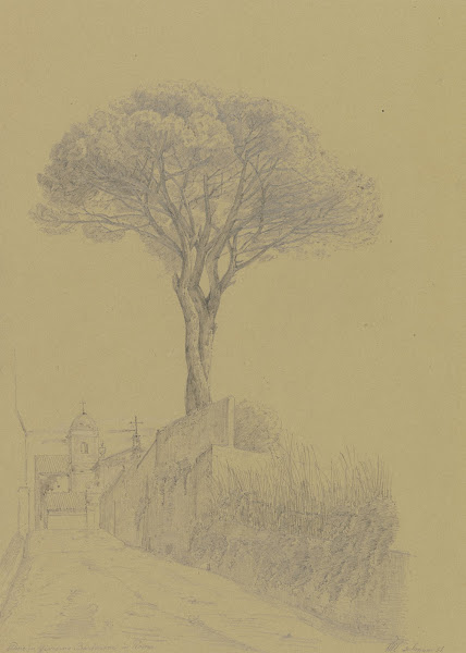 Pinie im Giardino Barberini in Rom 1851