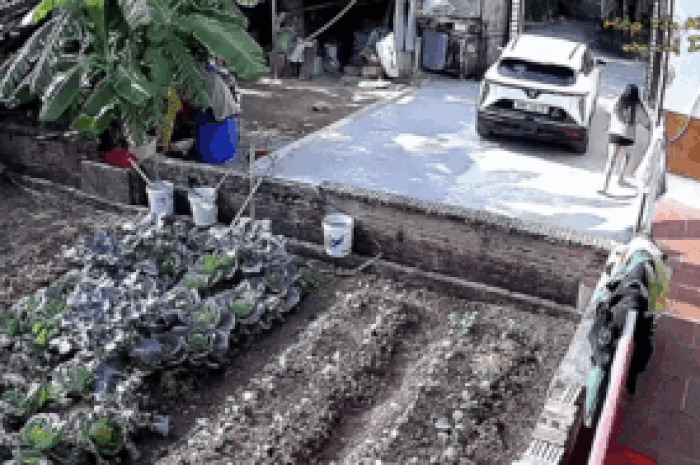 Con gái nhỏ chơi đùa quanh xe ô tô đậu trong sân, bố mẹ xem lại camera vẫn chưa hoàn hồn - Tạp chí SaoStar