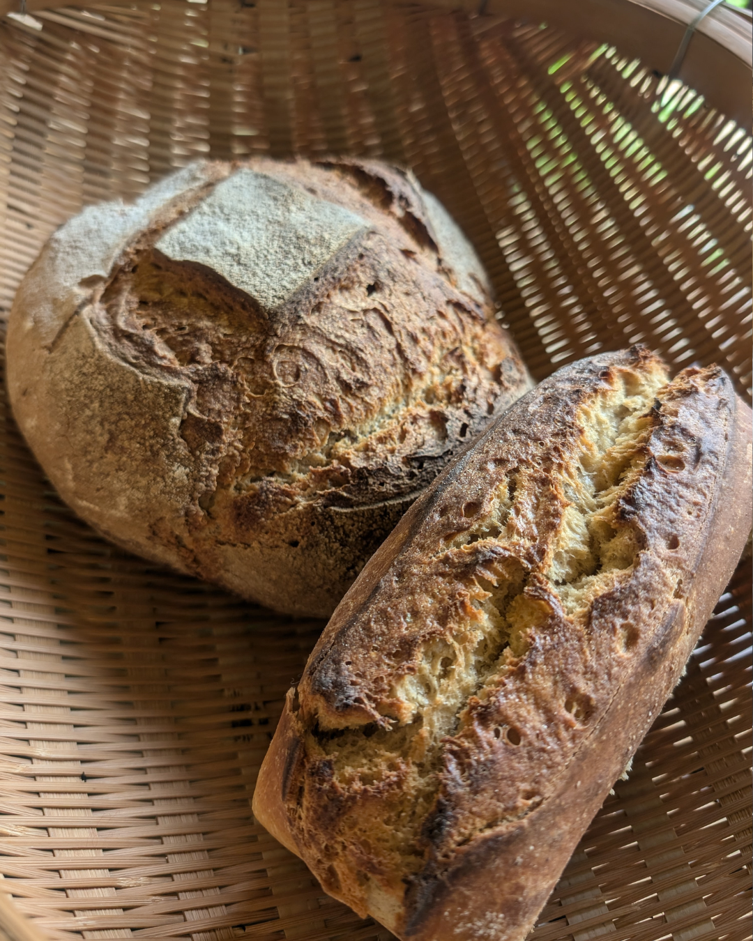 むらのパン もりたにの画像