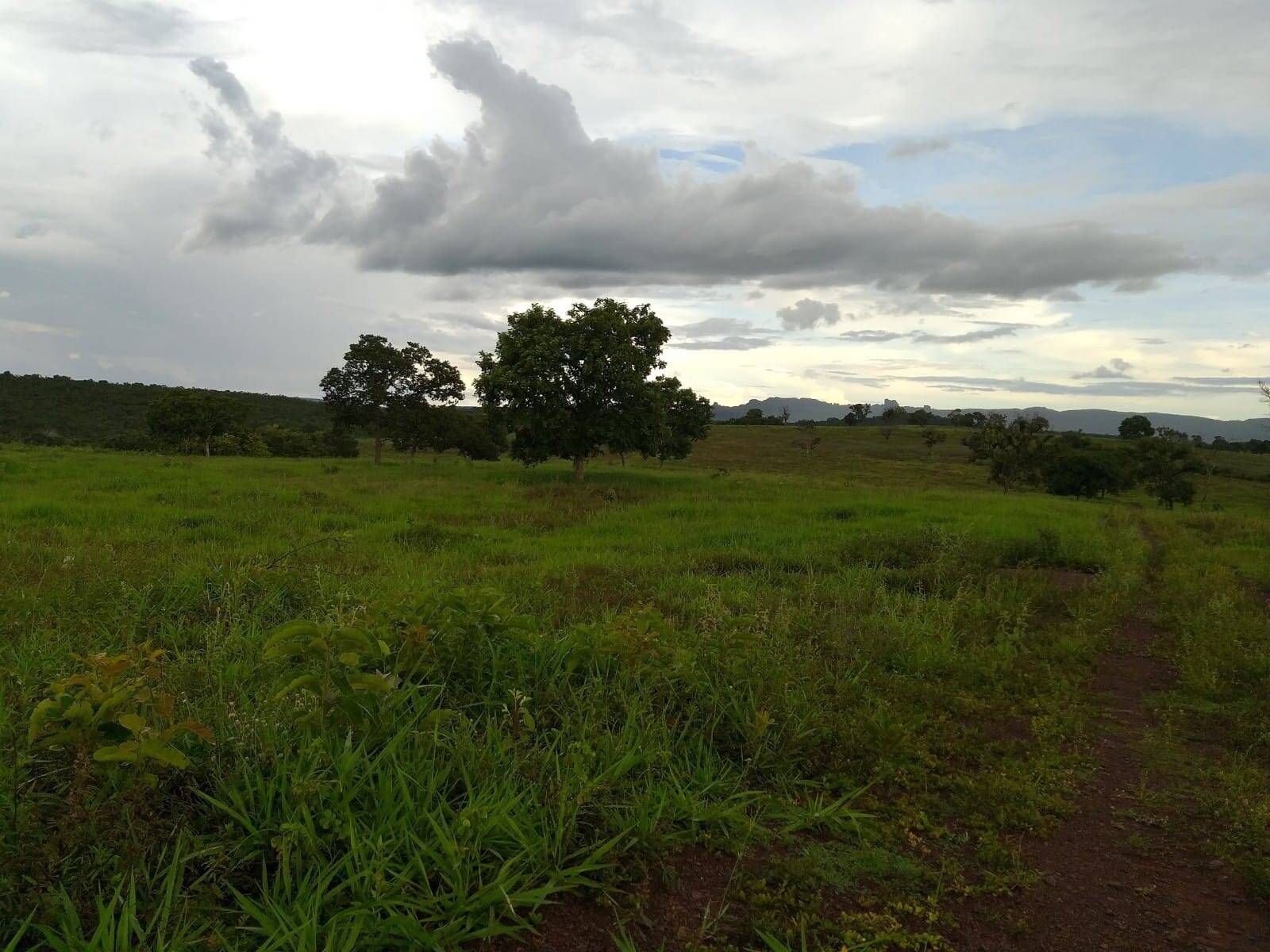 Fazenda em Doverlândia - GO 5