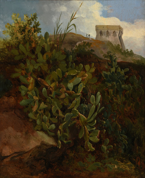 Tour et cactus 1828