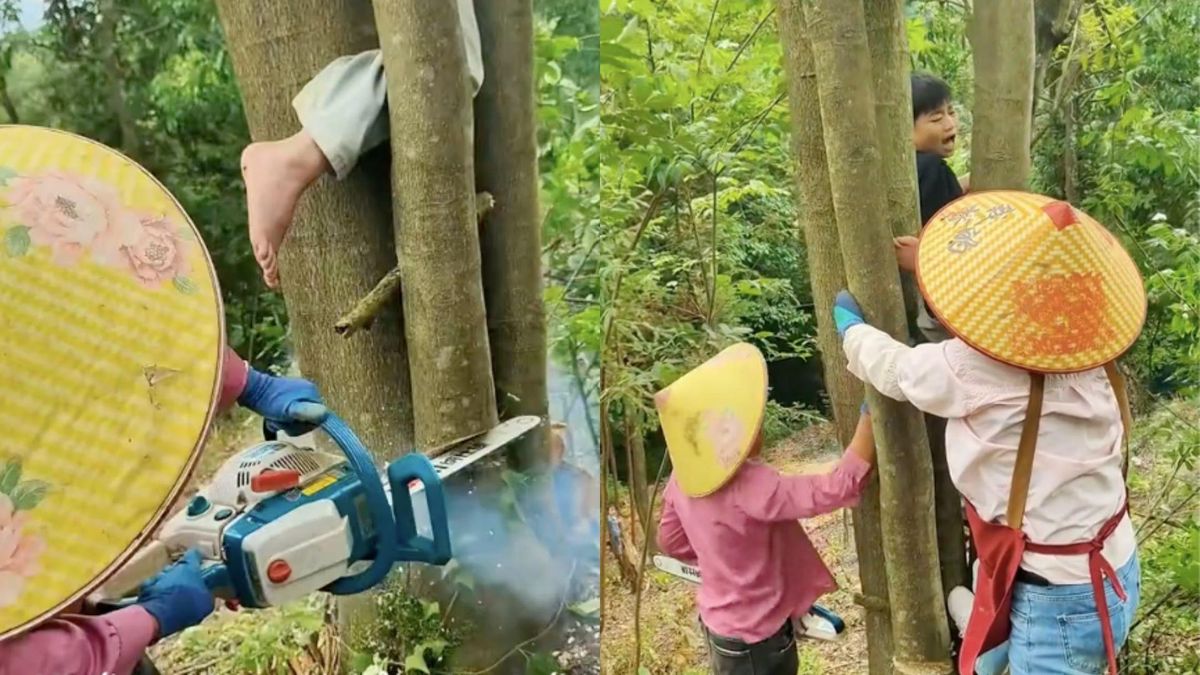 Xem giải cứu em bé mắc kẹt khi trèo cây, dân mạng than 'khối nghỉ hè quá mạnh' - Báo VTC News
