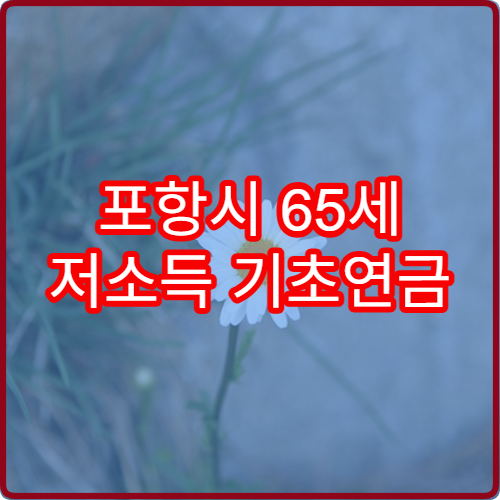 포항시 65세 저소득 기초연금 월 140만 원 받는 법 (2026)