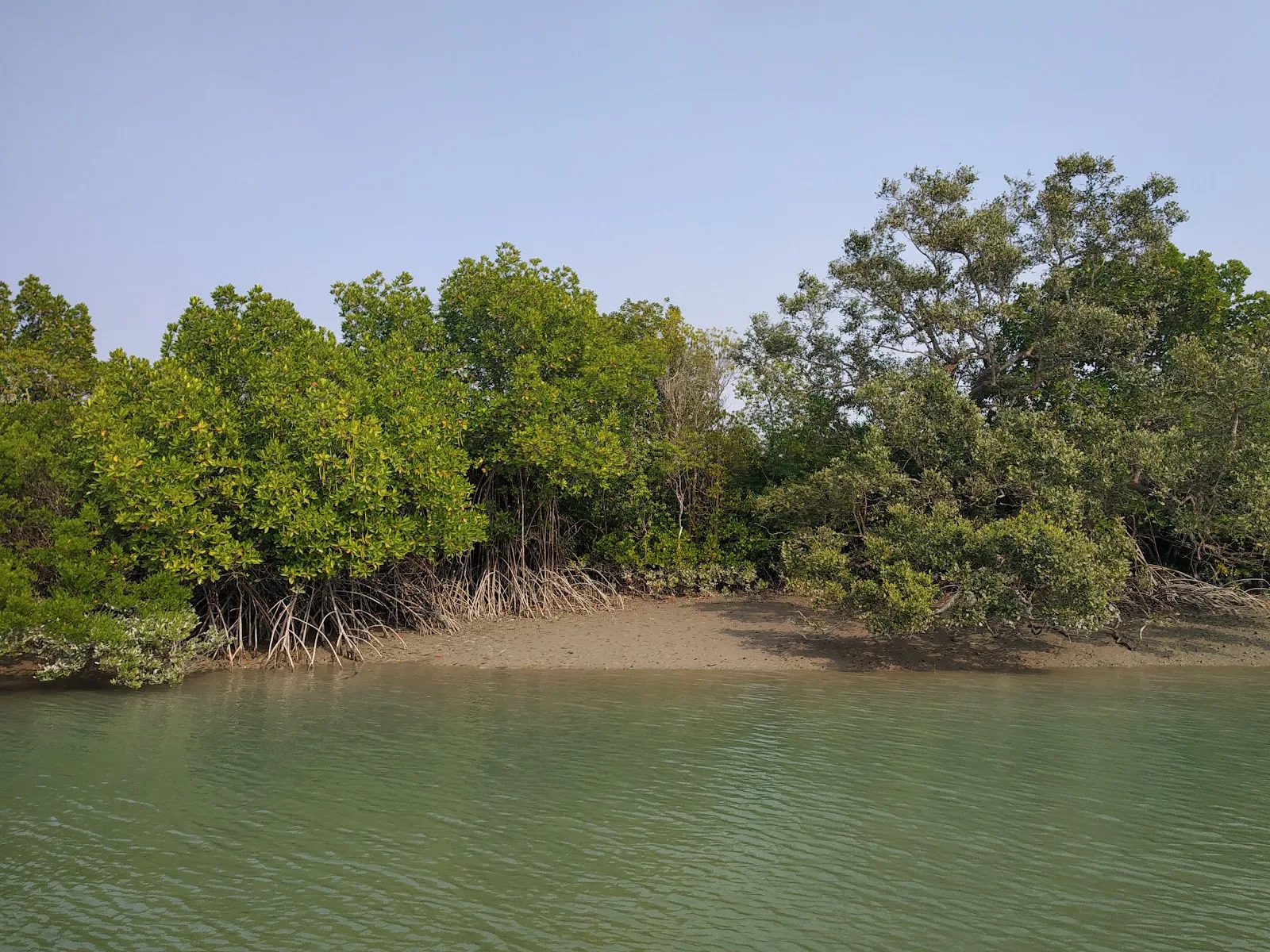 Sundarbans National Park