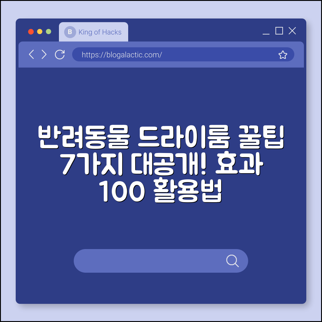 반려동물 드라이룸 활용법 7가지