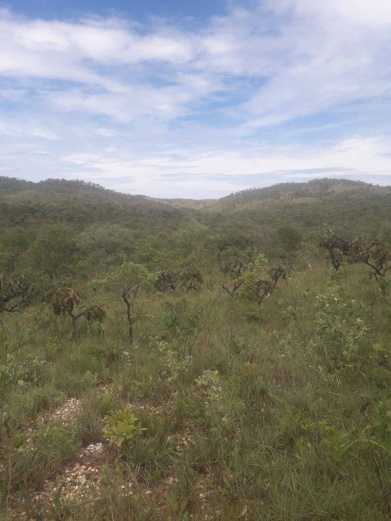 Fazenda em Cavalcante-GO 6