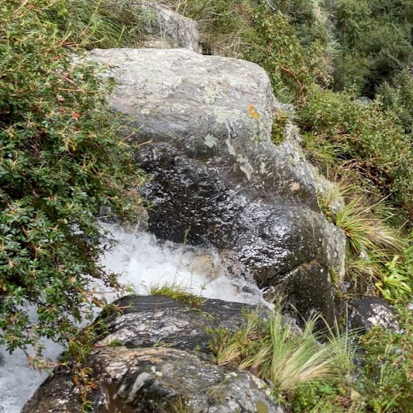 Trek a Los Chorros y Bosque de Tabaquillos