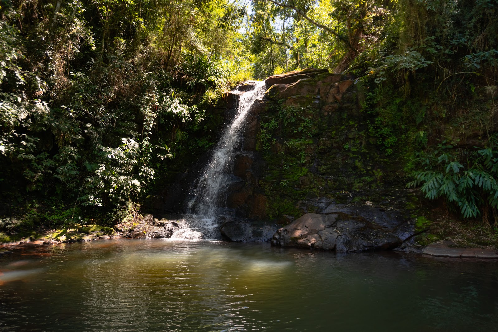 Saltos El Toro de la Selva