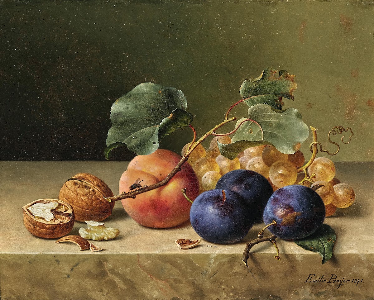 Still Life with Two Walnuts Plums Grapes a Peach on a Branch and a Fly 1871