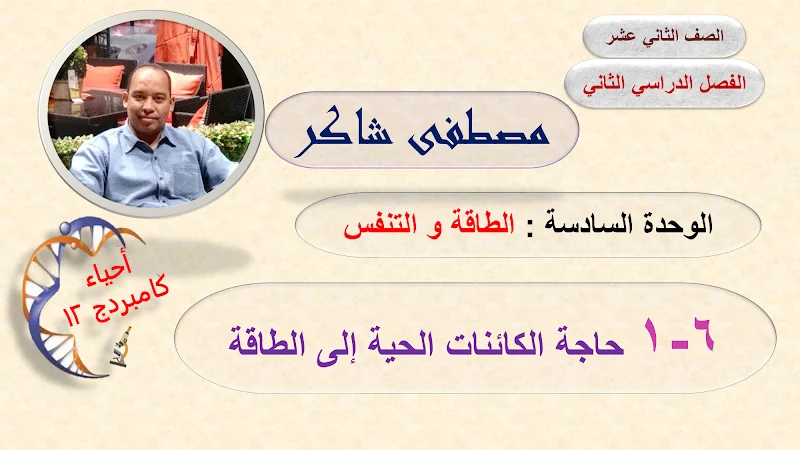 صورة الغلاف