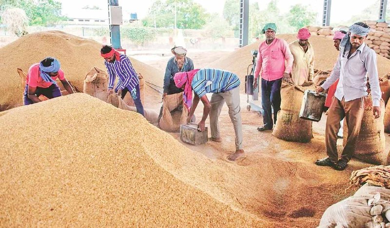 Telangana Paddy Procurement Lags, Fine Rice Prices Climb