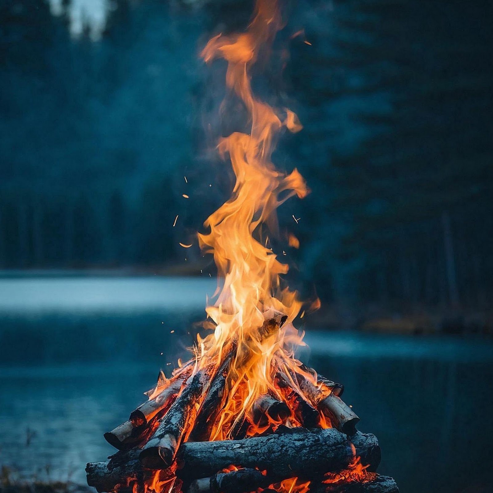 Download Large Campfire By A Lake 2K iPhone