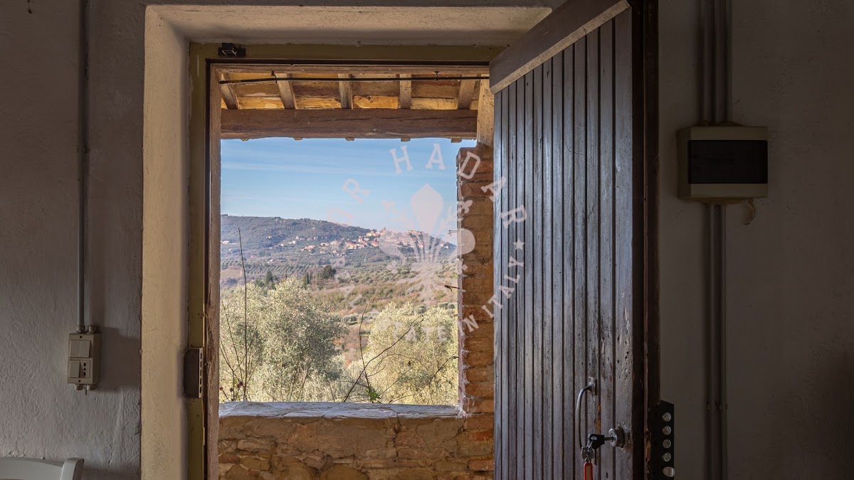 הפוג'יו דגלי אוליבי (Il Poggio degli Ulivi) — 16