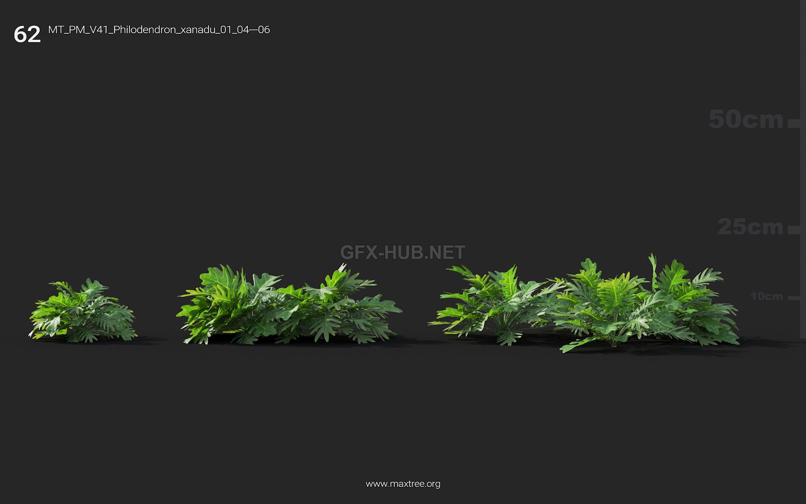 Maxtree - Plant Models Vol.41