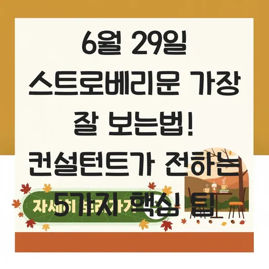 6월 29일 스트로베리문 가장 잘 보는법