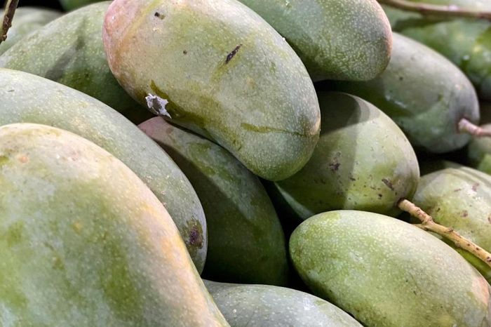 Tiểu thương bật mí cách chọn loại xoài đang 'làm mưa làm gió' thị trường Việt, vừa giòn vừa ngọt, quả nào cũng dày thịt, hạt mỏng dính - Chuyên trang Gia Đình &amp; Xã Hội - Báo Sức khỏe &amp; Đời sống