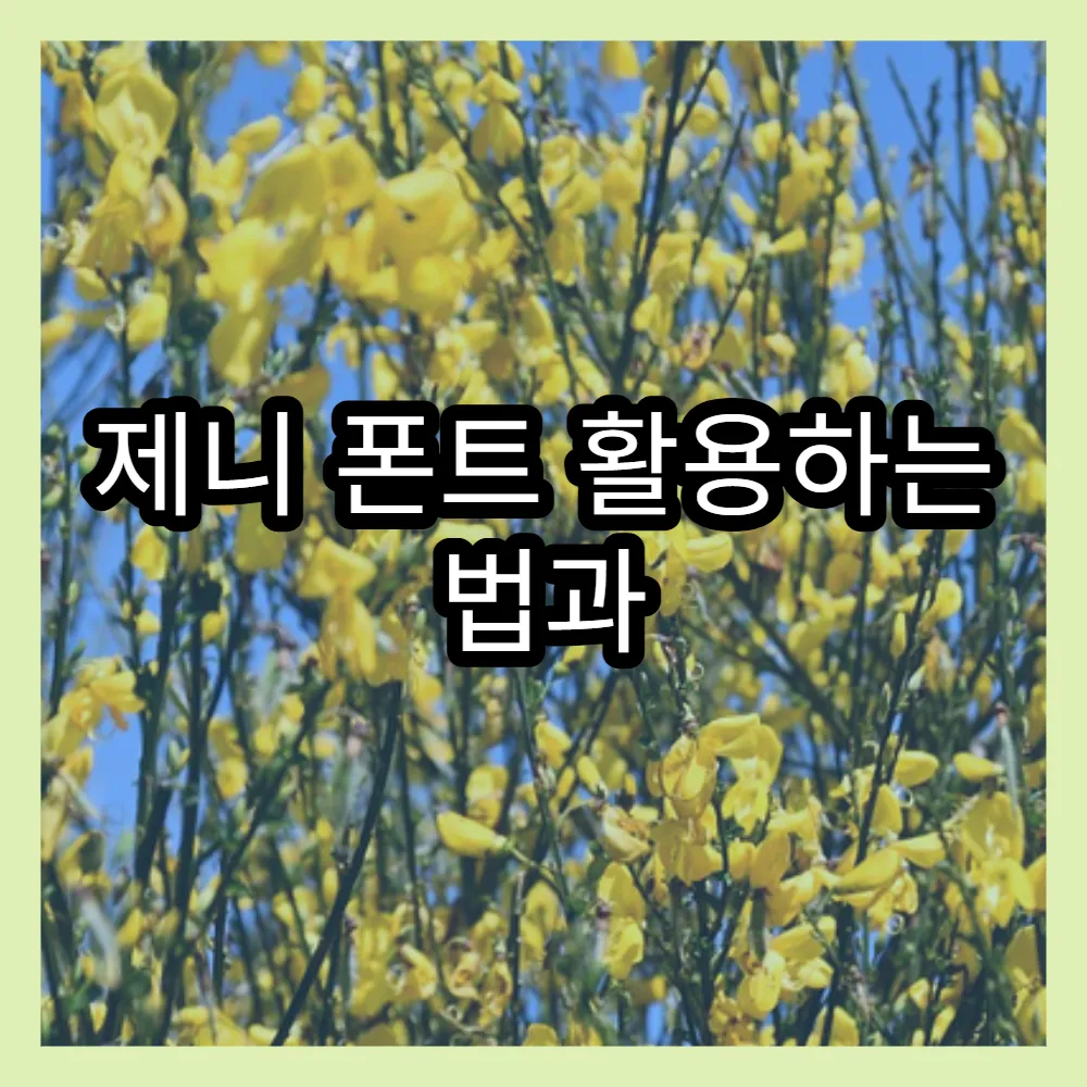 제니 폰트 활용하는 법과 인스타 카톡에서 예쁘게 꾸미기