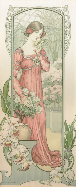 Fleurs de Serre 1903