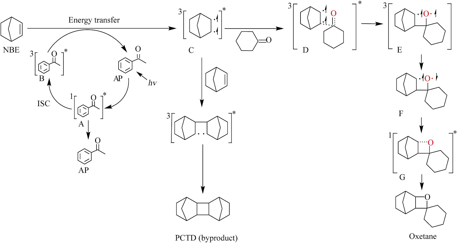 Photoinduced transposed Paternò–Büchi reaction for effective synthesis of high-performance jet fuel