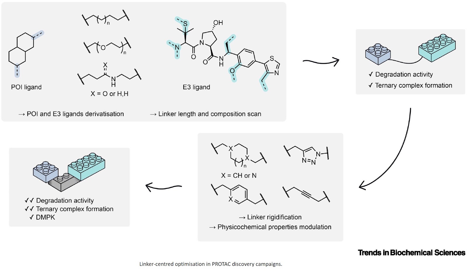 Linkerology in PROTACs: learnings for proximity-inducing therapeutics