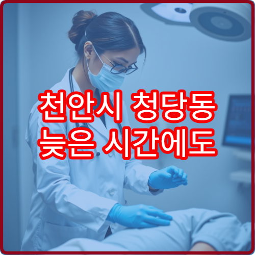 천안시 청당동 늦은 시간에도 상담 가능한 성형외과 병원