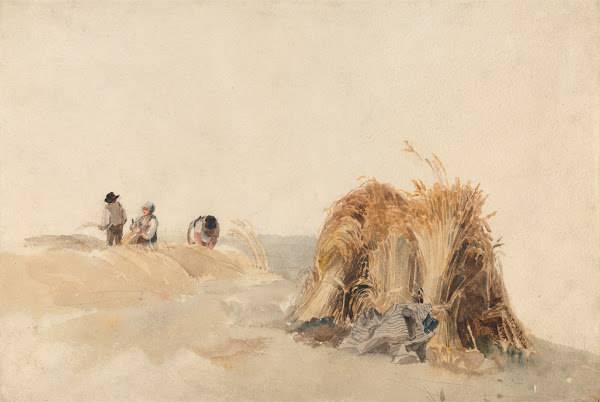 The Cornfield