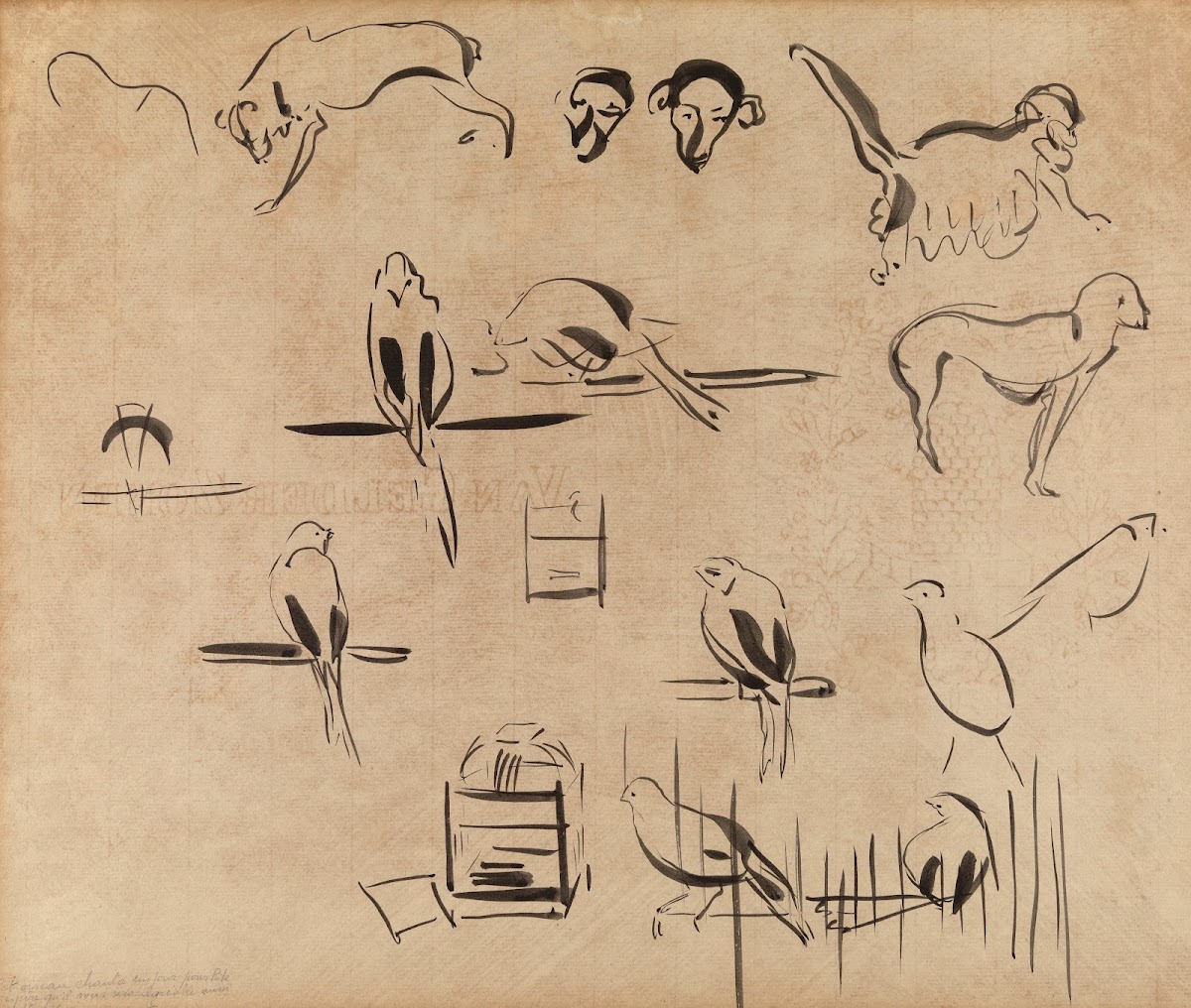 Study of Birds 1911