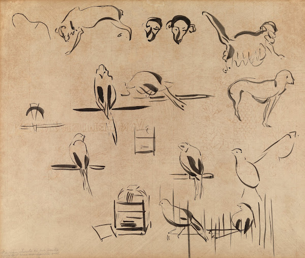 Study of Birds 1911
