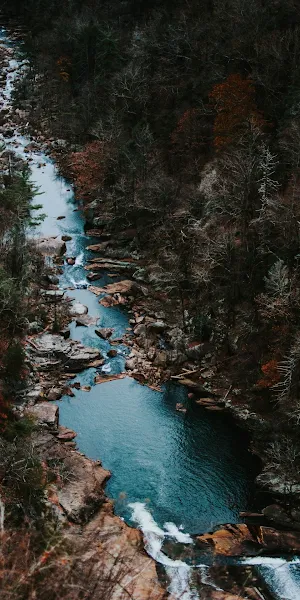 Rivers Never Go Reverse, Steering The Craft, Water, Water Resources, Plant Full HD iPhone Wallpaper Background