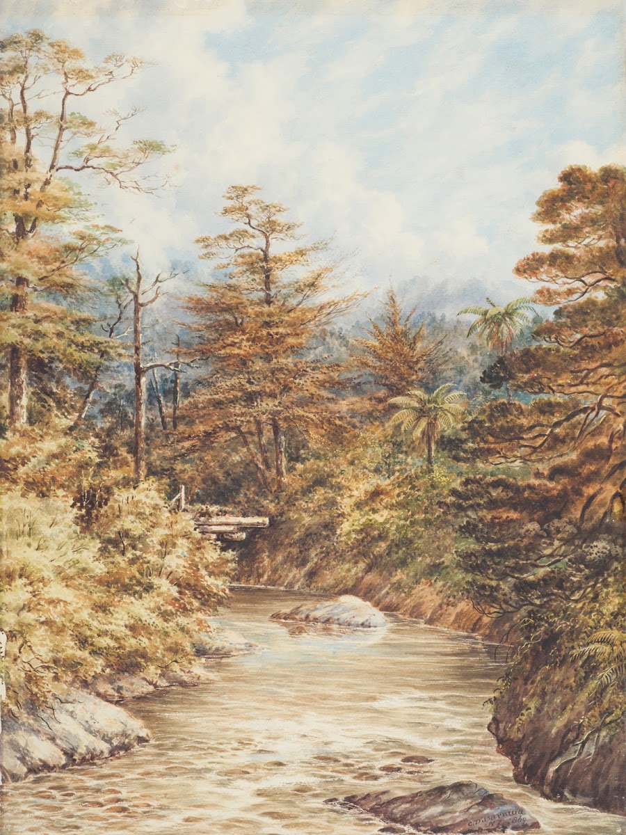 New Zealand river scene 1869