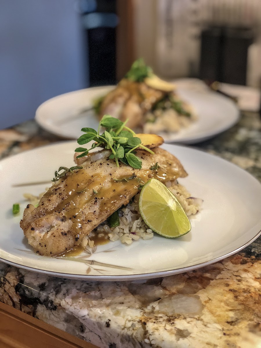 The Session dish
