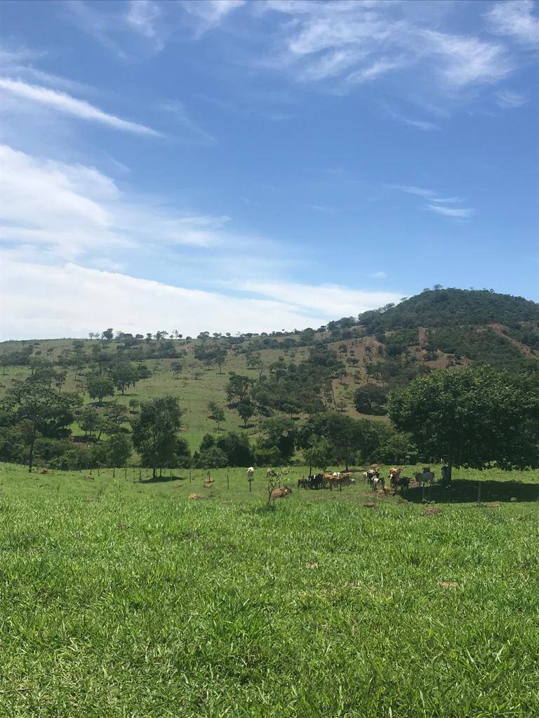 Fazenda em Bela Vista de Goiás - GO 9