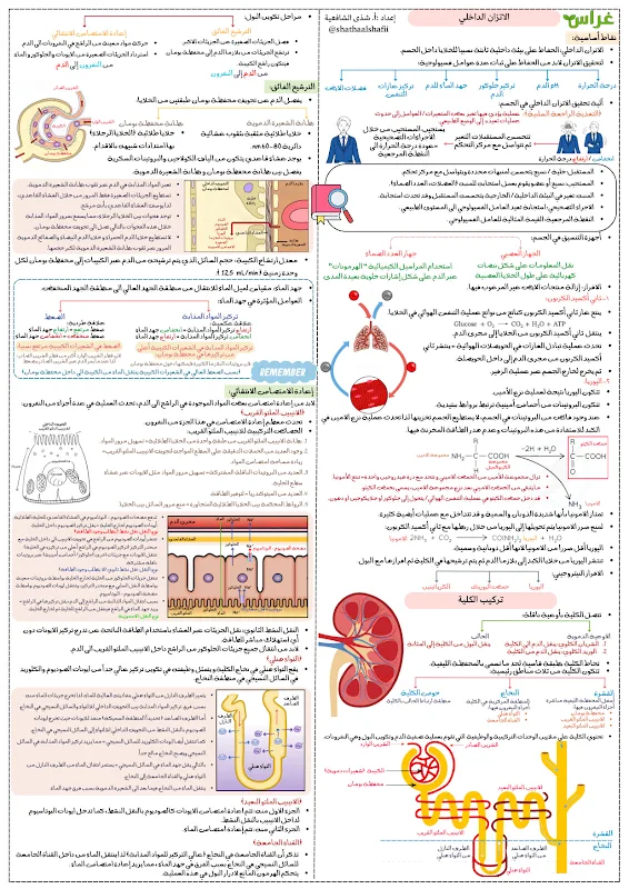 صورة الغلاف