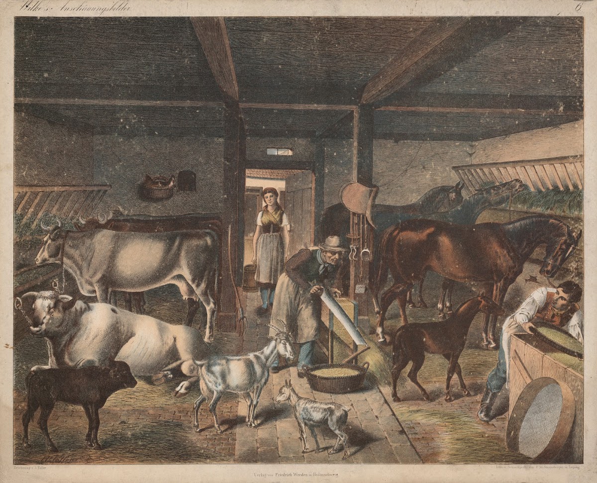 Barn 1875