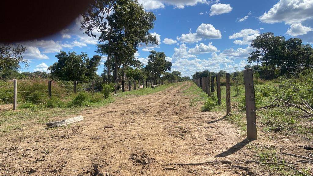 Fazenda em Nova Crixás - GO 4