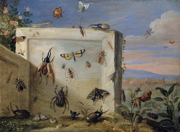 Insects on a Stone Slab