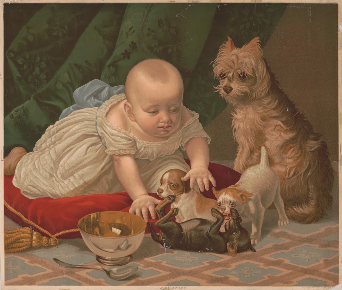 Wide awake 1876