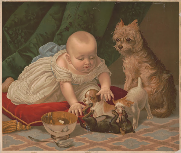 Wide awake 1876