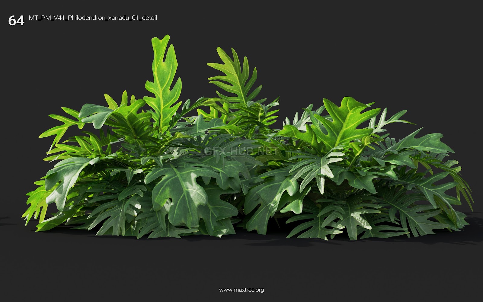 Maxtree - Plant Models Vol.41