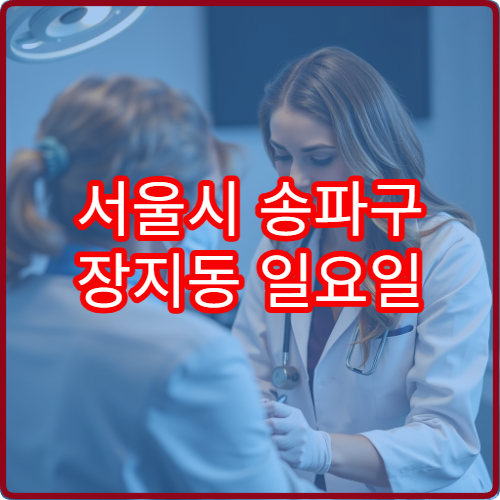 서울시 송파구 장지동 일요일 산부인과 진료 병원 휴일
