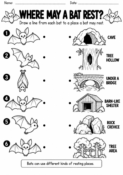 Bat Resting Places Match Worksheet