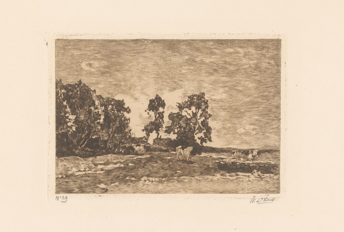 Weide met koeien 1896