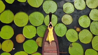 SUNRISE ADVENTURE_ SAMET NANGSHE SKYWALK BRIDGE, JAMES BOND ISLAND, AIRPLANE BEACH, AND MA DOO BUA WATER LILIES photo 3
