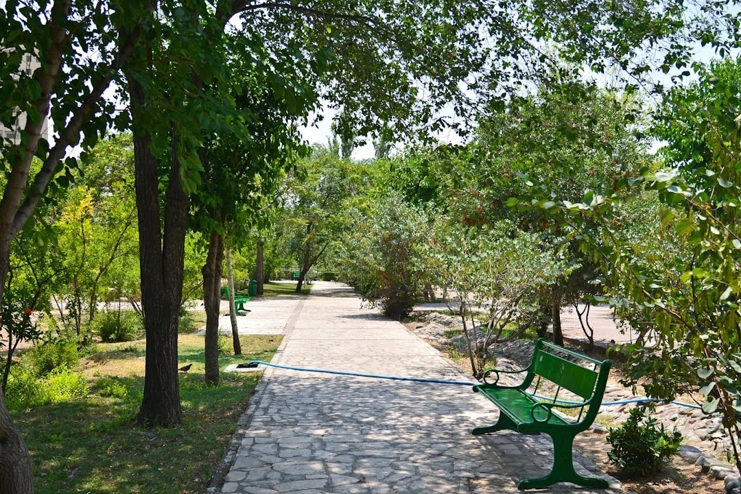 중고차 구매 전 반드시 확인해야 할 시세 점검 포인트 이미지 2
