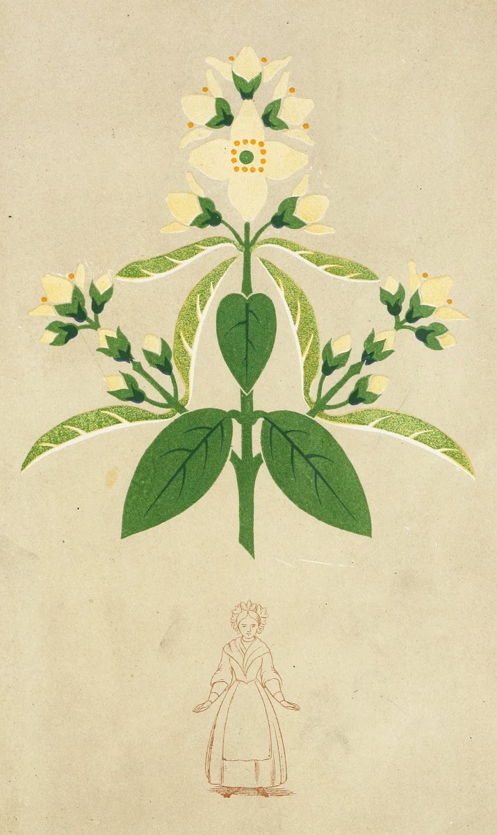 The Art of Decorative Design pl26 1862