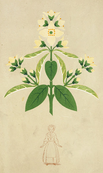 The Art of Decorative Design pl26 1862
