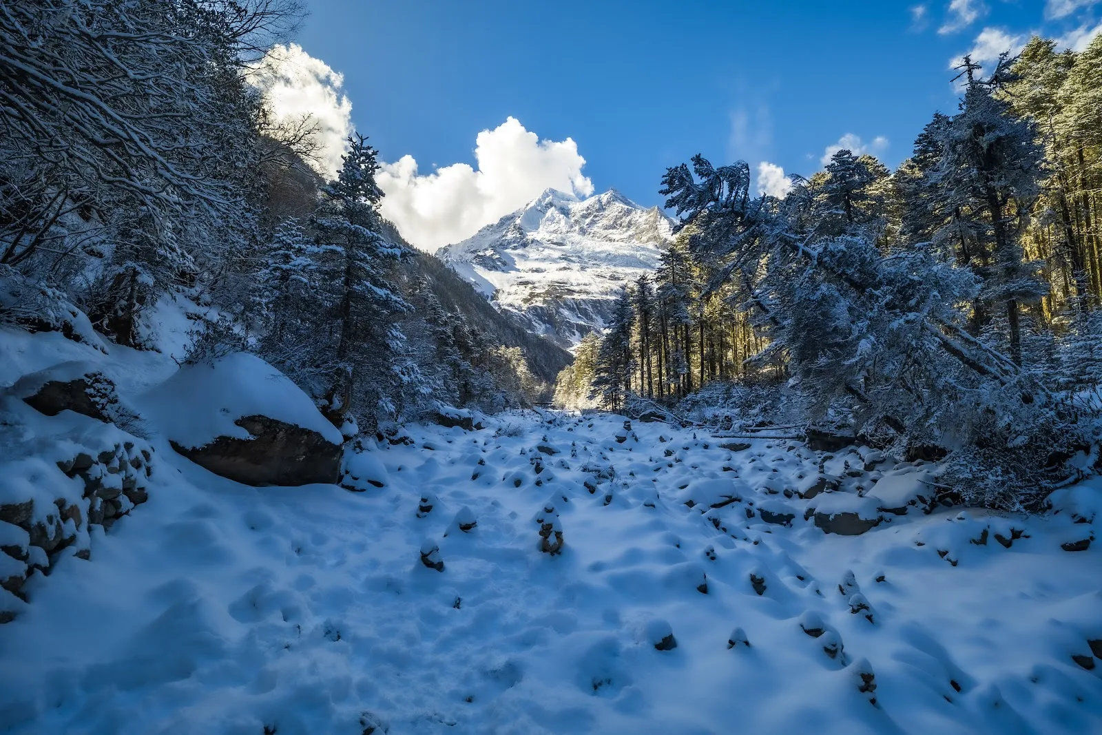 Bright Winter Mountain Landscape - Nature Photography 5K Wallpaper (5568x3712)