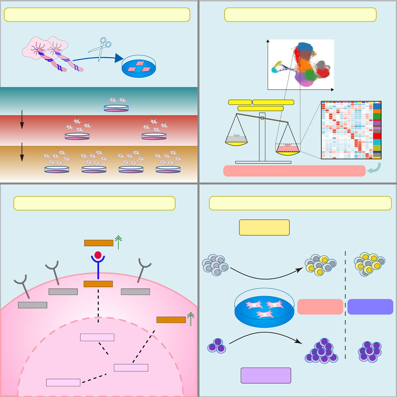 Identifying NOTCH signaling-specialized hematopoietic supportive subpopulation from mesenchymal stem cells