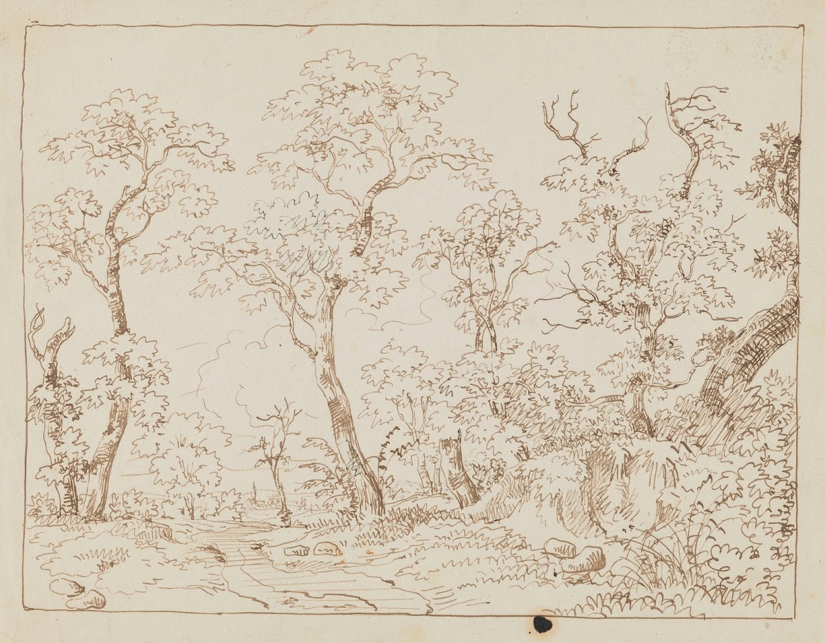 Studies of Trees Landscape 1850   1860