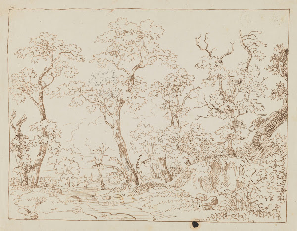 Studies of Trees Landscape 1850   1860